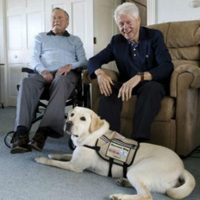 L'ancien président Bush accueille unnouveau chien de service à Kennebunkport Compound